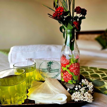 Coco Paradise Homestay Shrīrangapattana Zewnętrze zdjęcie